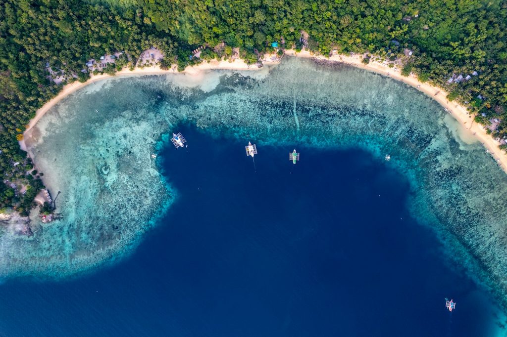 Manta Snorkeling at Nusa Penida by Yacht